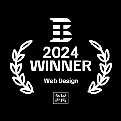 Web Design Agency 2024 Winner